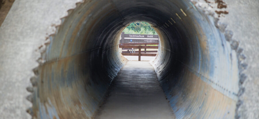 Taidnapam park tunnel