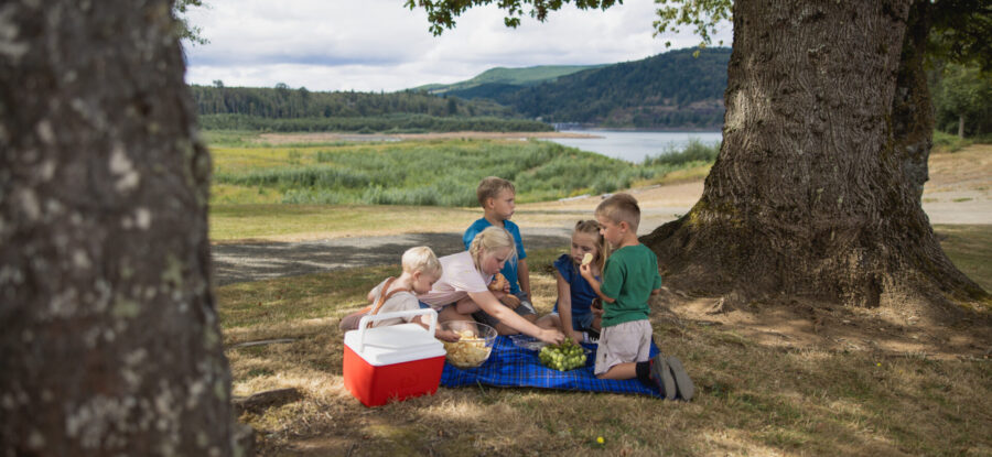 Family having picnic