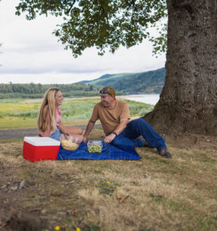 picnic with mossyrock park in the background