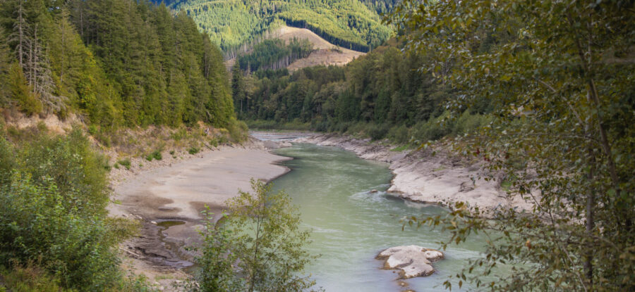 stream by taidnapam surrounded by trees
