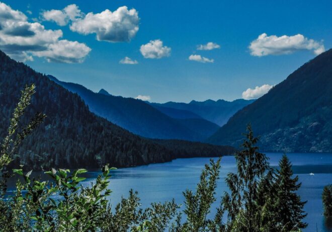 Lake cushman horizon with trees and mountains