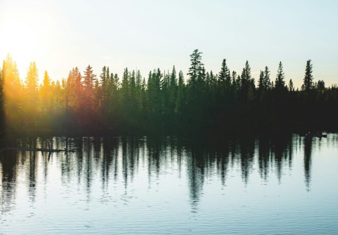 Image of trees and reflection in a lake