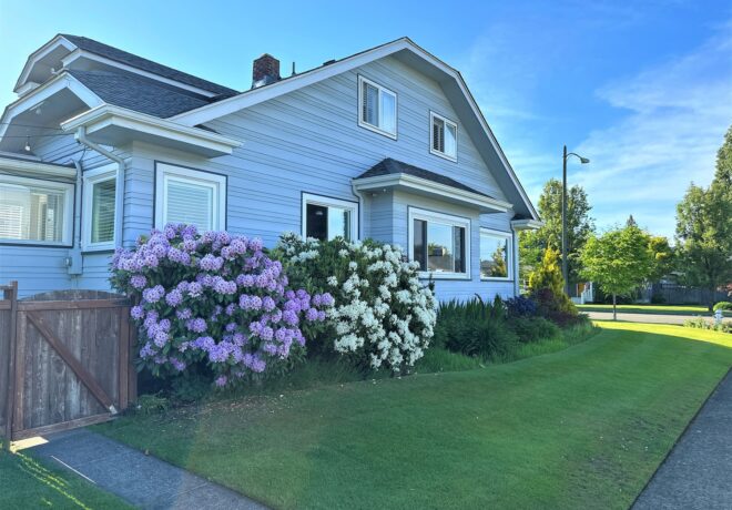 Blue craftsman style house in Tacoma, WA with hydrangea bushes in bloom and green grass.