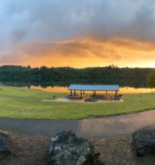 Mayfield Lake Park